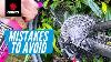 5 Common Mtb Drivetrain Cleaning U0026 Lubing Mistakes How To Avoid Them