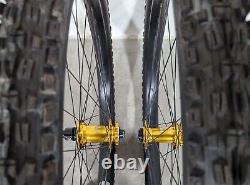 Crank Brothers Synthesis DH Wheelset with Maxxis Tires 20x110 (F) 12x150 (R)