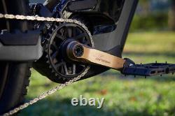 Helix R espec AL Crank Arm Set 160mm, BOSCH Gen4-Brose S Mag-TQ HPR50, with